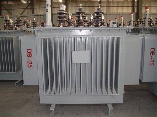 那曲S13-630KVA/10KV/0.4KV油浸式变压器
